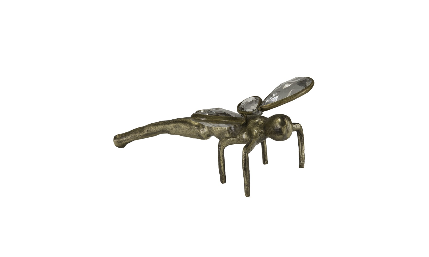 dragonfly-03.png