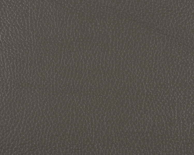 Leather - Grey B4 - 482 