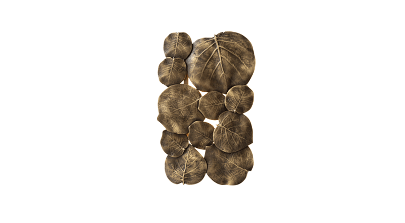 Nymphea sconce